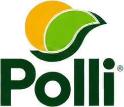 Polli